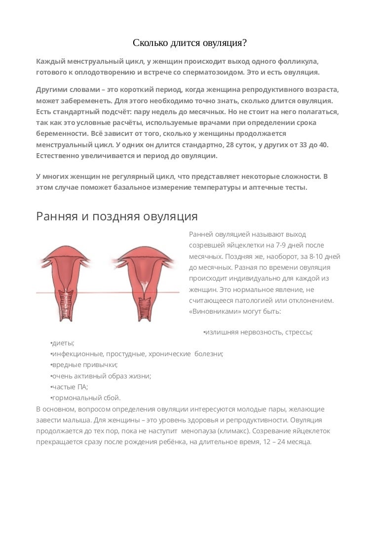 Сколько дней длится овуляция у женщин при 28, 30-дневном или другом цикле Сколько живет яйцеклетка Сколько дней длится овуляция у женщин при 28, 30-дневном или другом цикле Сколько живет яйцеклетка